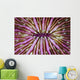 Detail Beautiful Mushroom Coral Horizontal Wall Decal
