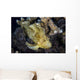 Well-camouflaged Leaf Scorpionfish Waits Horizontal Wall Decal