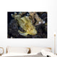 Well-camouflaged Leaf Scorpionfish Waits Horizontal Wall Decal
