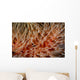 Detail Delicate Tentacles Feather Wall Decal