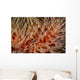 Detail Delicate Tentacles Feather Wall Decal