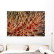 Detail Delicate Tentacles Feather Wall Decal