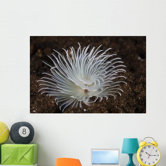 Detail Feather Duster Worm Swaying Wall Decal