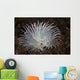 Detail Feather Duster Worm Swaying Wall Decal