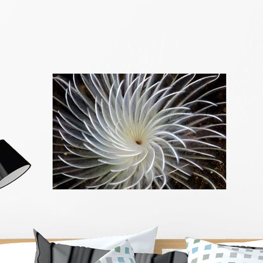 Detail Feather Duster Worm Wall Decal
