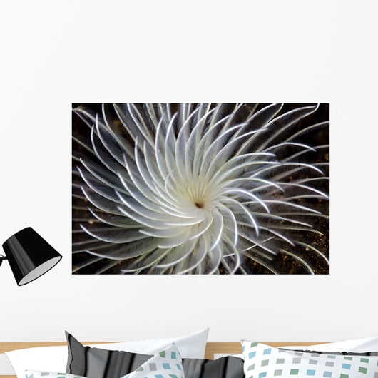 Detail Feather Duster Worm Wall Decal