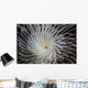 Detail Feather Duster Worm Wall Decal
