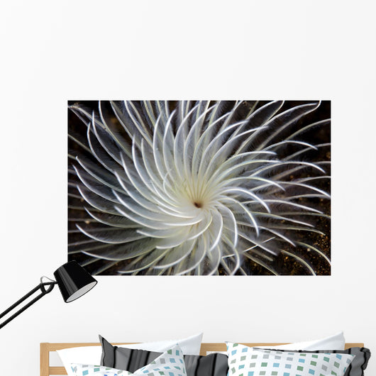 Detail Feather Duster Worm Wall Decal