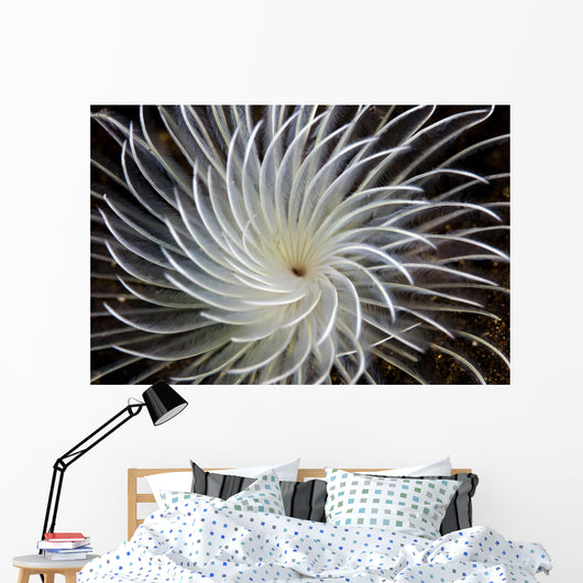 Detail Feather Duster Worm Wall Decal