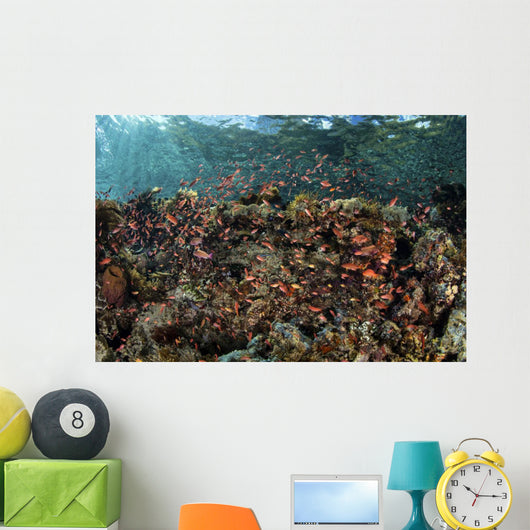 Reef Fish Swimming Near Surface Wall Decal