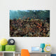Reef Fish Swimming Near Surface Wall Decal