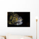 Snowflake Moray Eel Peeks Wall Decal