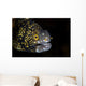 Snowflake Moray Eel Peeks Wall Decal