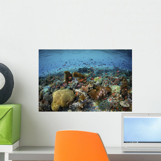 Reef Fish Swimming Strong Wall Decal