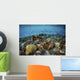 Reef Fish Swimming Strong Wall Decal