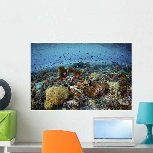Reef Fish Swimming Strong Wall Decal