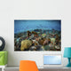 Reef Fish Swimming Strong Wall Decal