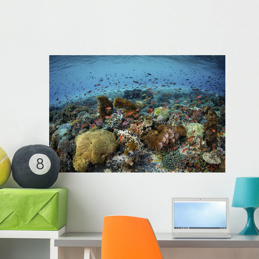 Reef Fish Swimming Strong Wall Decal