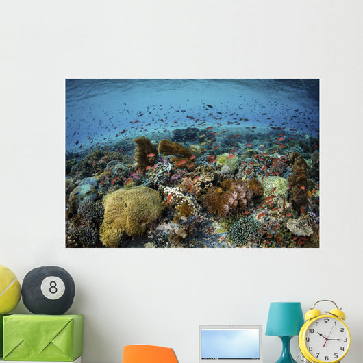 Reef Fish Swimming Strong Wall Decal