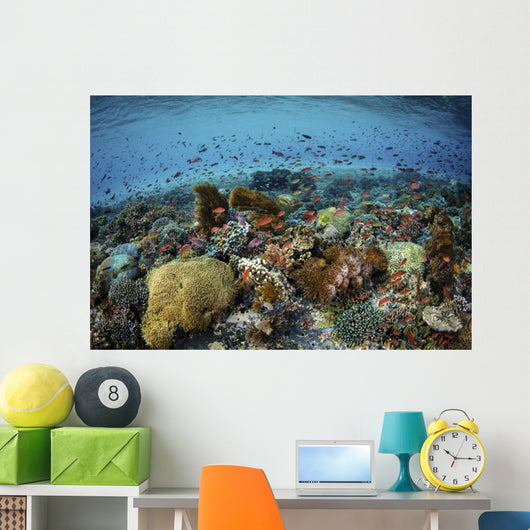 Reef Fish Swimming Strong Wall Decal