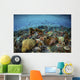 Reef Fish Swimming Strong Wall Decal