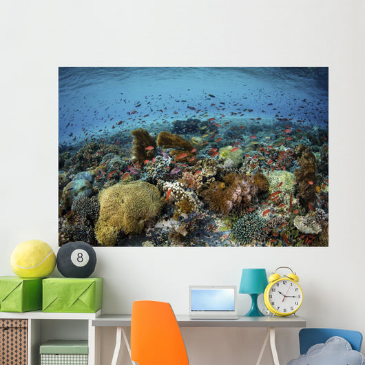Reef Fish Swimming Strong Wall Decal