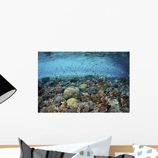 Reef Fish Swimming Strong Surface Wall Decal