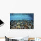 Reef Fish Swimming Strong Surface Wall Decal