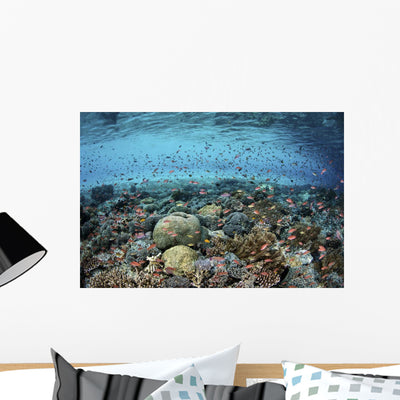 Reef Fish Swimming Strong Surface Wall Decal shown on a wall