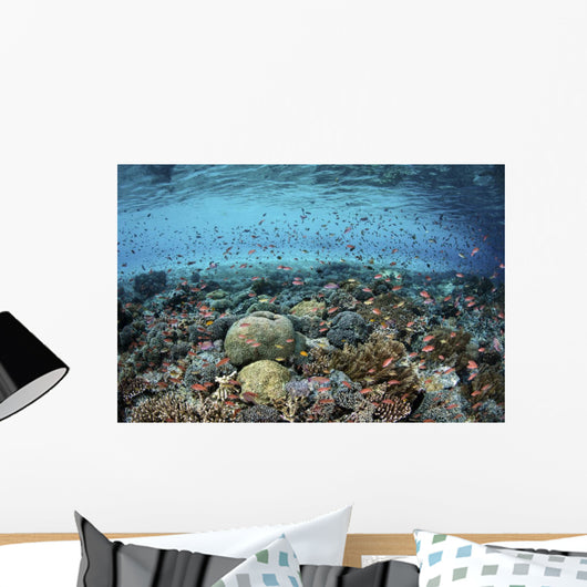 Reef Fish Swimming Strong Surface Wall Decal