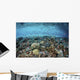 Reef Fish Swimming Strong Surface Wall Decal