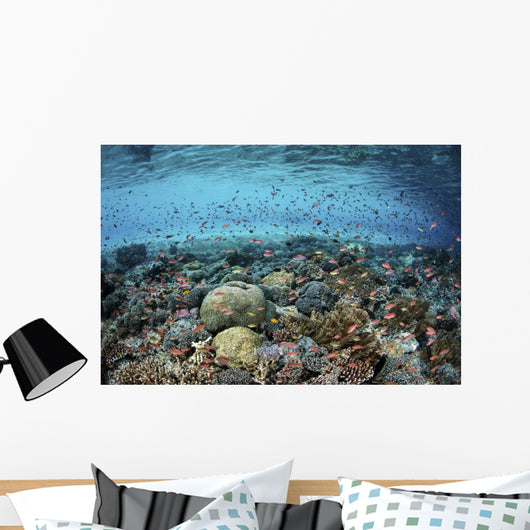 Reef Fish Swimming Strong Surface Wall Decal