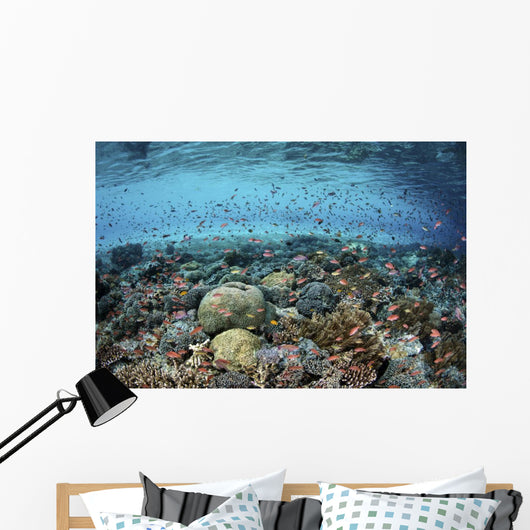 Reef Fish Swimming Strong Surface Wall Decal