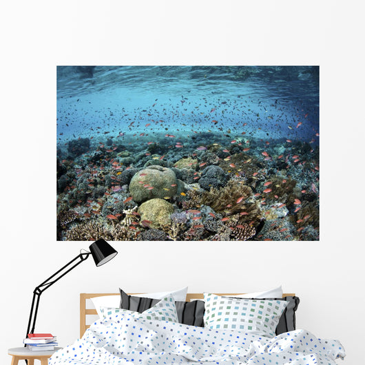 Reef Fish Swimming Strong Surface Wall Decal