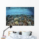 Reef Fish Swimming Strong Surface Wall Decal