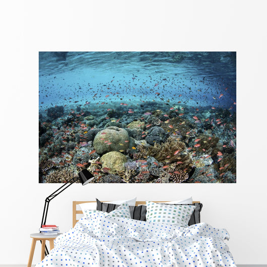 Reef Fish Swimming Strong Surface Wall Decal
