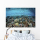 Reef Fish Swimming Strong Surface Wall Decal