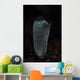 Delicate Tunicate Komodo National Wall Decal