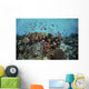 Reef Fish Swimming Light Water Wall Decal