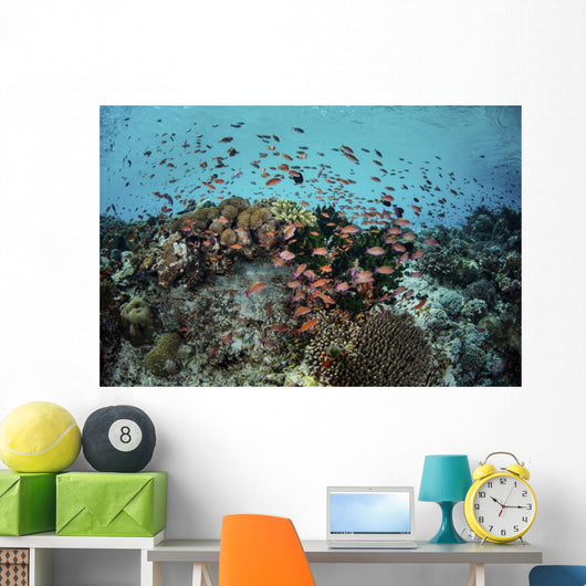 Reef Fish Swimming Light Water Wall Decal