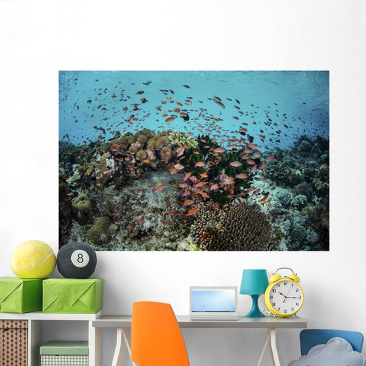 Reef Fish Swimming Light Water Wall Decal