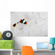 Young False Clownfish Snuggles Wall Decal