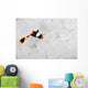 Young False Clownfish Snuggles Wall Decal