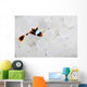 Young False Clownfish Snuggles Wall Decal