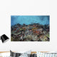 Reef Fish Swimming Strong Landscape Wall Decal