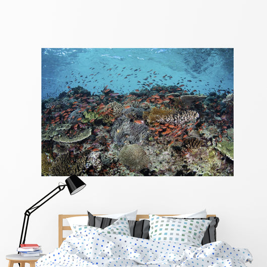 Reef Fish Swimming Strong Landscape Wall Decal
