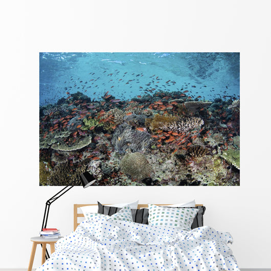 Reef Fish Swimming Strong Landscape Wall Decal