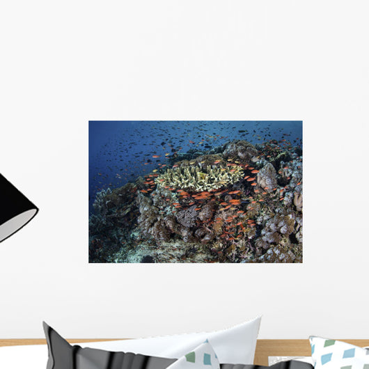 Reef Fish Swimming Strong Swirling Wall Decal