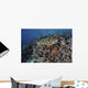 Reef Fish Swimming Strong Swirling Wall Decal