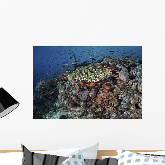 Reef Fish Swimming Strong Swirling Wall Decal